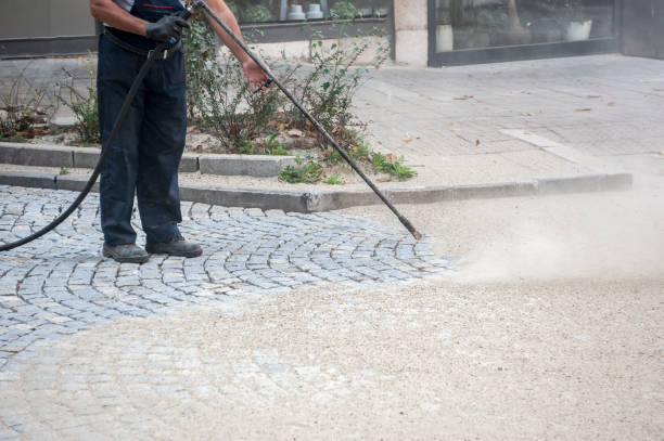 Best Fence Cleaning  in Danville, IN